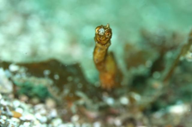 GWということでプチツアー開催！