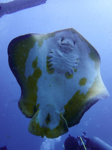 GWということでプチツアー開催！