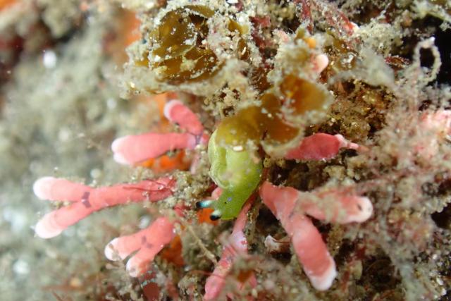 ベタ凪！湖海況！