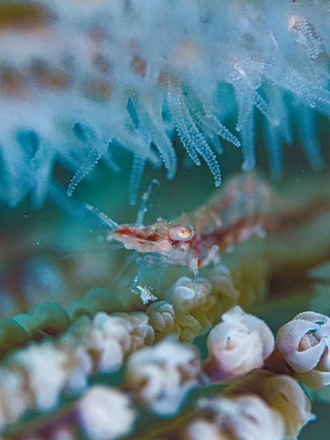 ベタ凪！湖海況！