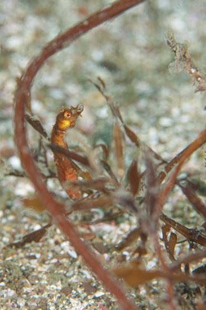 ベタ凪！湖海況！