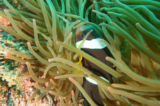 みんなで江の浦へ！