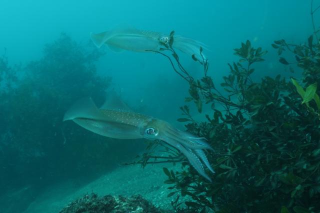 みんなで江の浦へ！