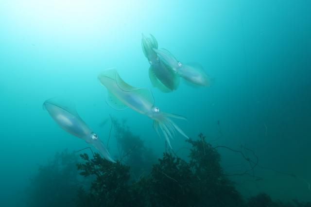 みんなで江の浦へ！