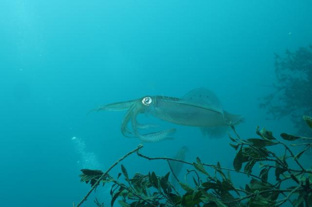 みんなで江の浦へ！
