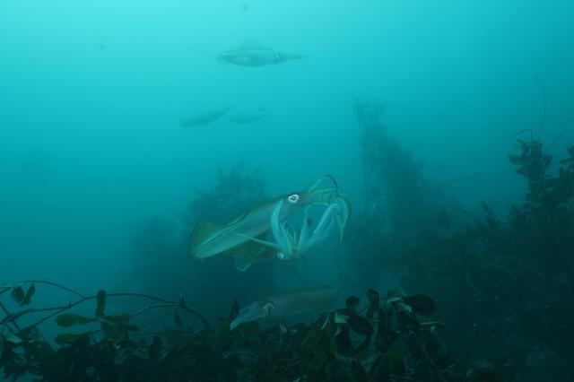 みんなで江の浦へ！
