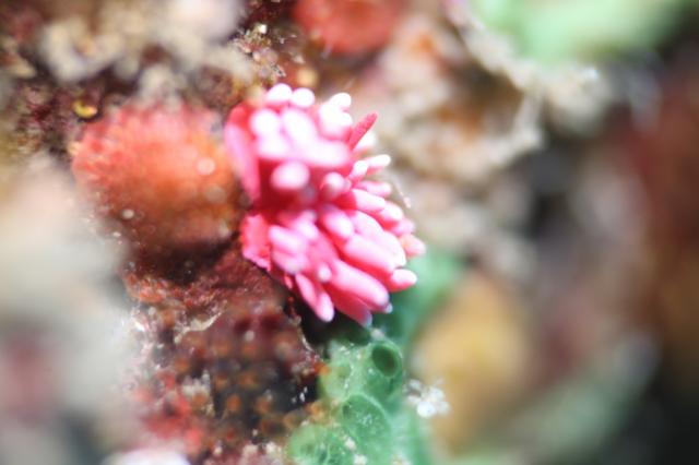 みんなで江の浦へ！