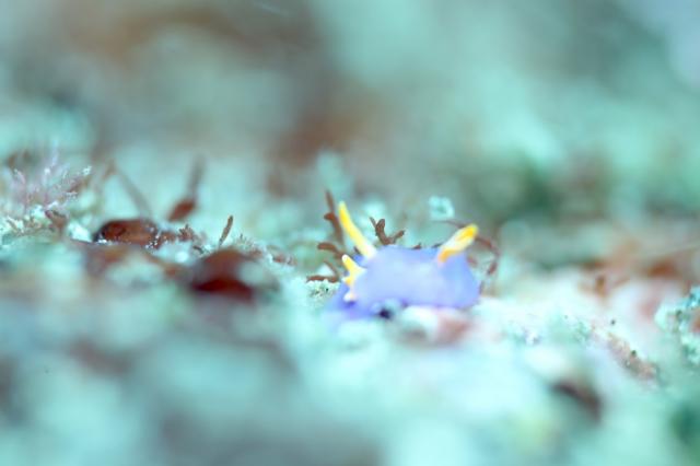 みんなで江の浦へ！