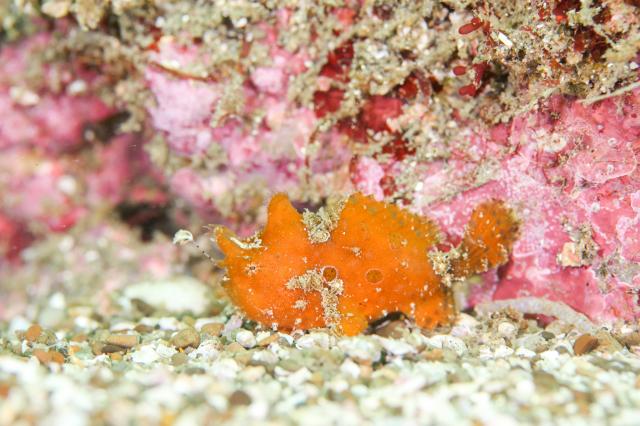 5月5日子供の日！大人も張り切って遊びました！