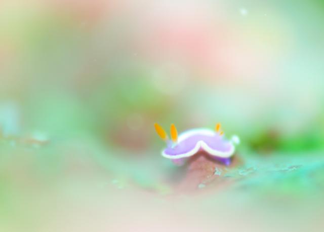 5月5日子供の日！大人も張り切って遊びました！