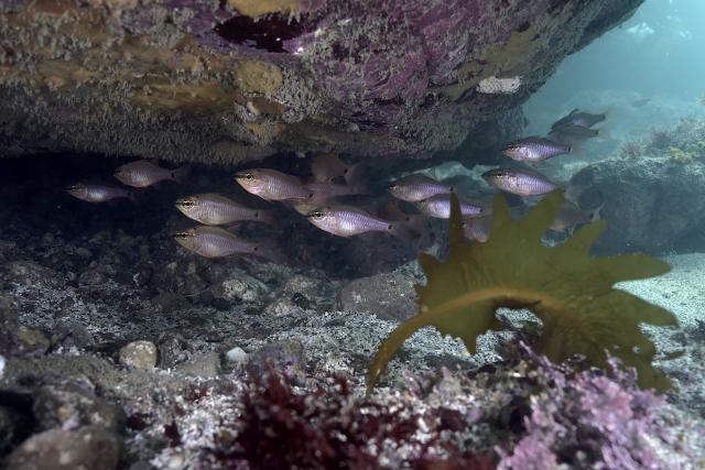 5月5日子供の日！大人も張り切って遊びました！