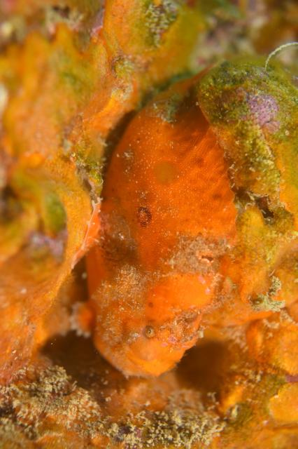 5月5日子供の日！大人も張り切って遊びました！