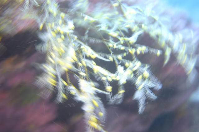 5月5日子供の日！大人も張り切って遊びました！