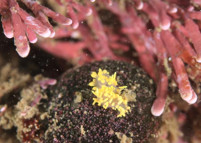 5月5日子供の日！大人も張り切って遊びました！