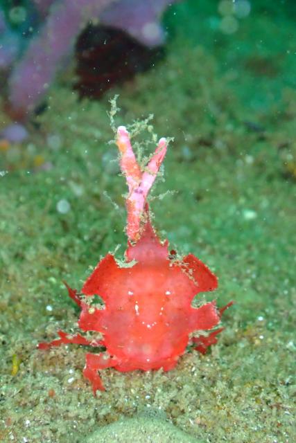 5月5日子供の日！大人も張り切って遊びました！
