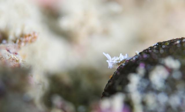 5月5日子供の日！大人も張り切って遊びました！