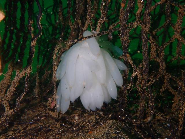 GW最終日、残念ながら雨でした