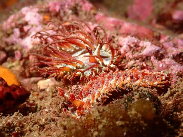 GW最終日、残念ながら雨でした