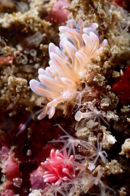 GW最終日、残念ながら雨でした