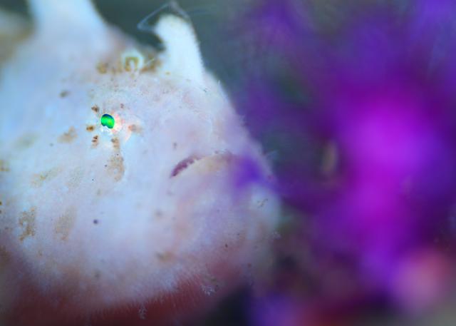 GW最終日、残念ながら雨でした