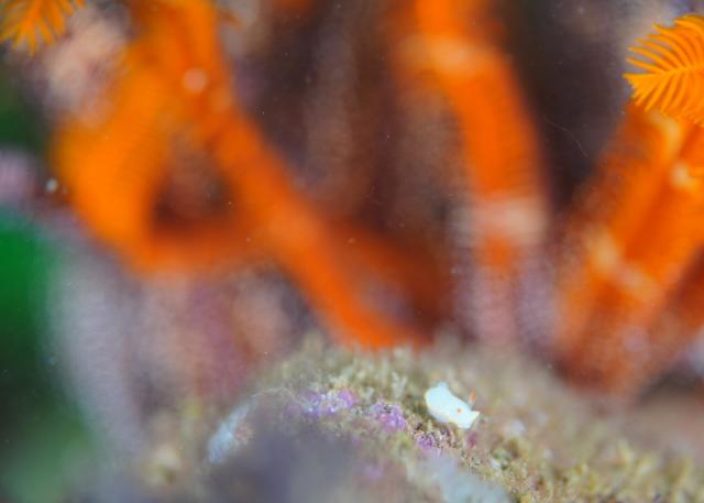GW最終日、残念ながら雨でした