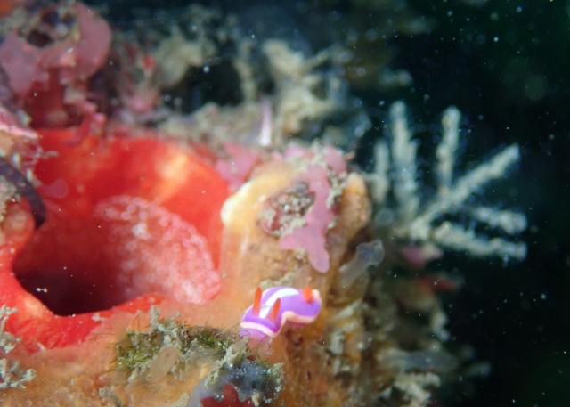 GW最終日、残念ながら雨でした