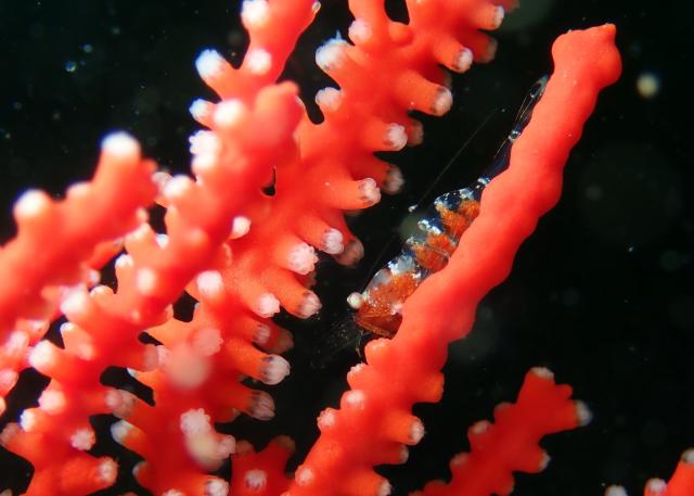 GW最終日、残念ながら雨でした