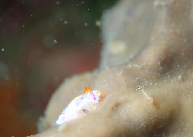GW最終日、残念ながら雨でした