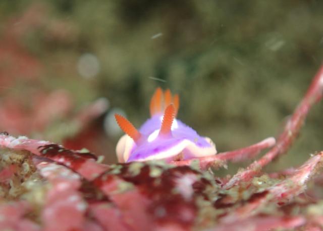 GW最終日、残念ながら雨でした