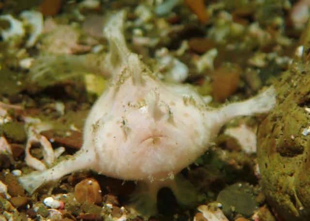 GW最終日、残念ながら雨でした