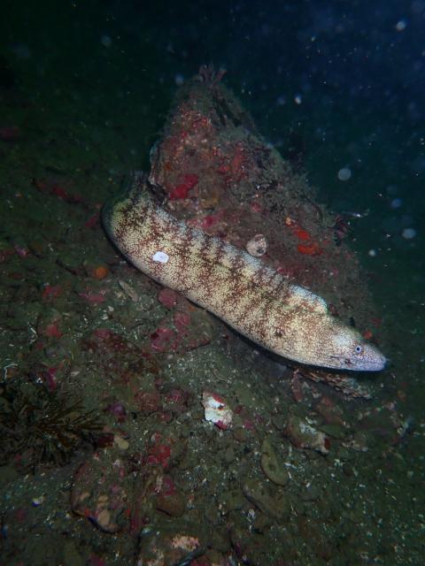 嵐の前の静けさ