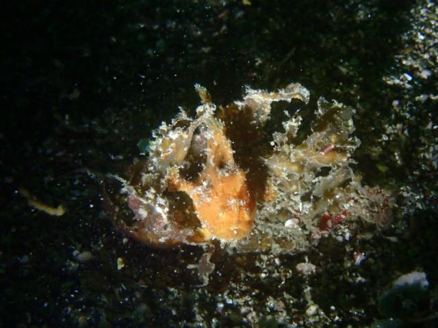 嵐の前の静けさ