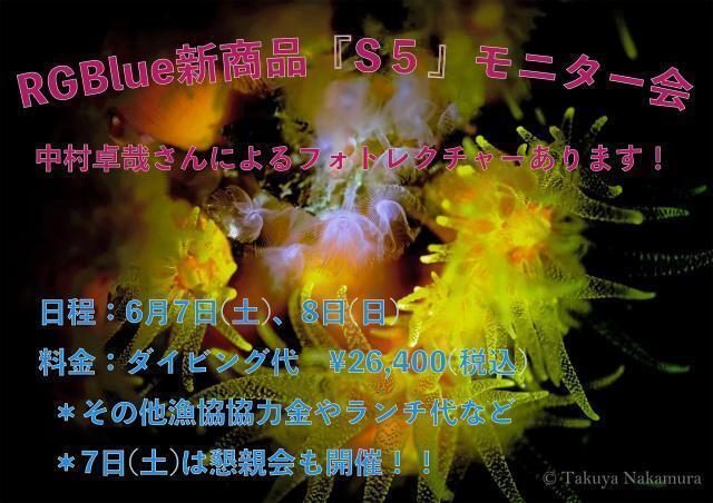 三浦でマクロ満喫！