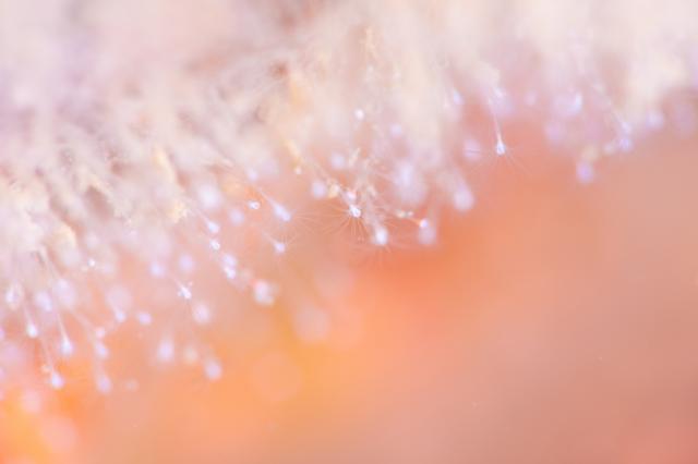 穏やかな海と素敵な海況