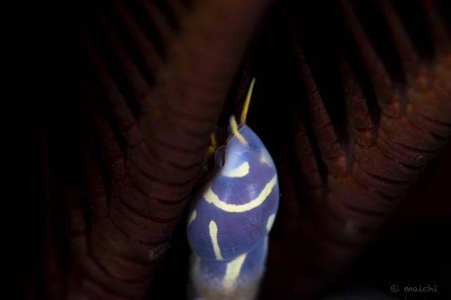 穏やかな海と素敵な海況
