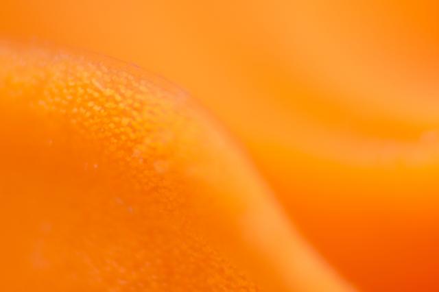 穏やかな海と素敵な海況