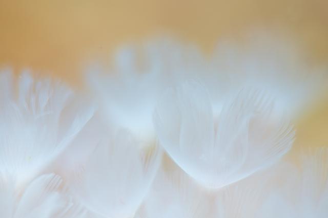 穏やかな海と素敵な海況