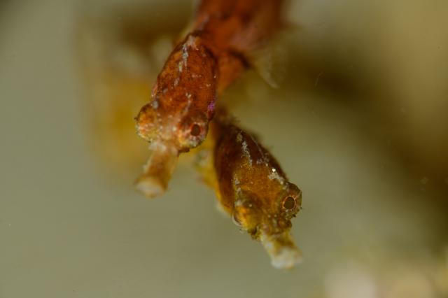 まだまだ冷たい海