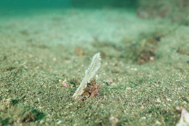 久々週末HAYAMA！！