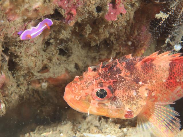 久々週末HAYAMA！！