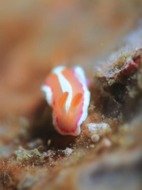 久々週末HAYAMA！！