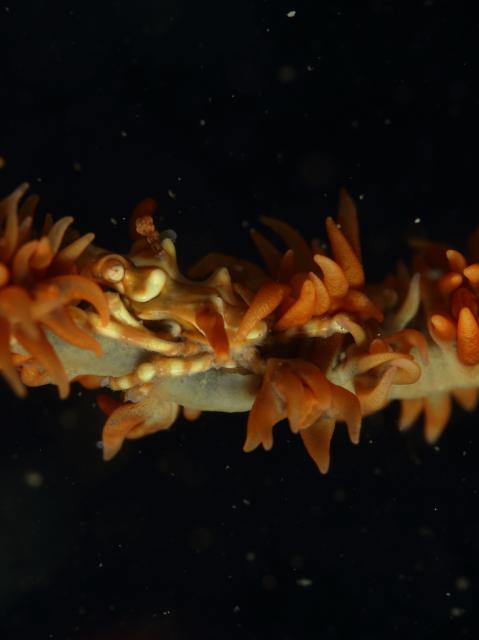 久々週末HAYAMA！！