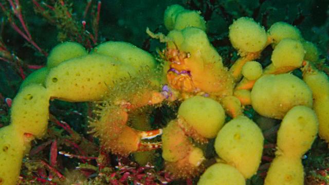 久々週末HAYAMA！！