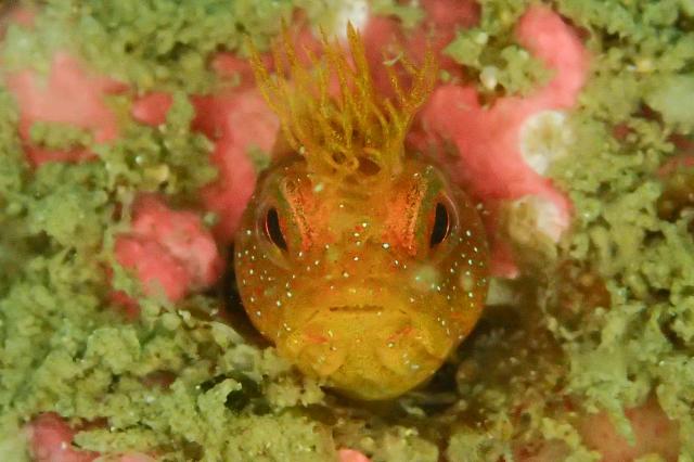 久々週末HAYAMA！！