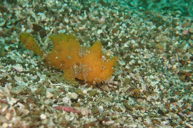 久々週末HAYAMA！！