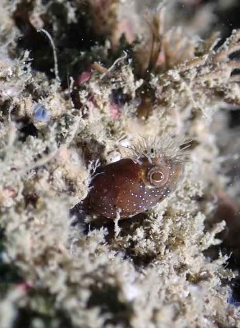 久々週末HAYAMA！！