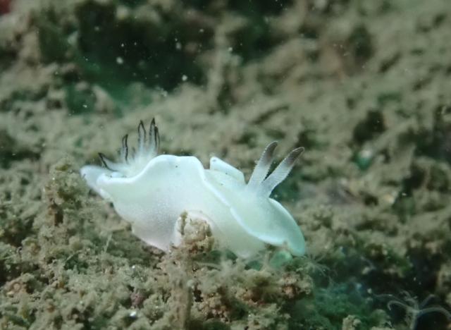 久々週末HAYAMA！！