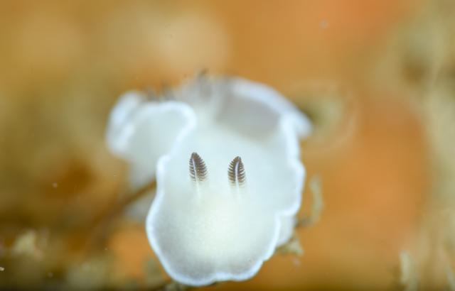 久々週末HAYAMA！！