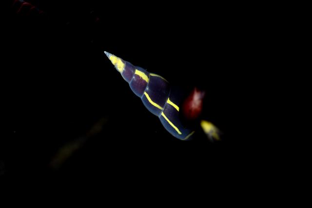 久々週末HAYAMA！！