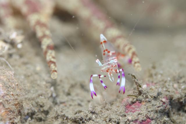 久々週末HAYAMA！！